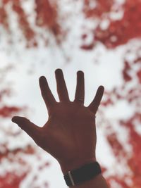 Close-up of woman hand