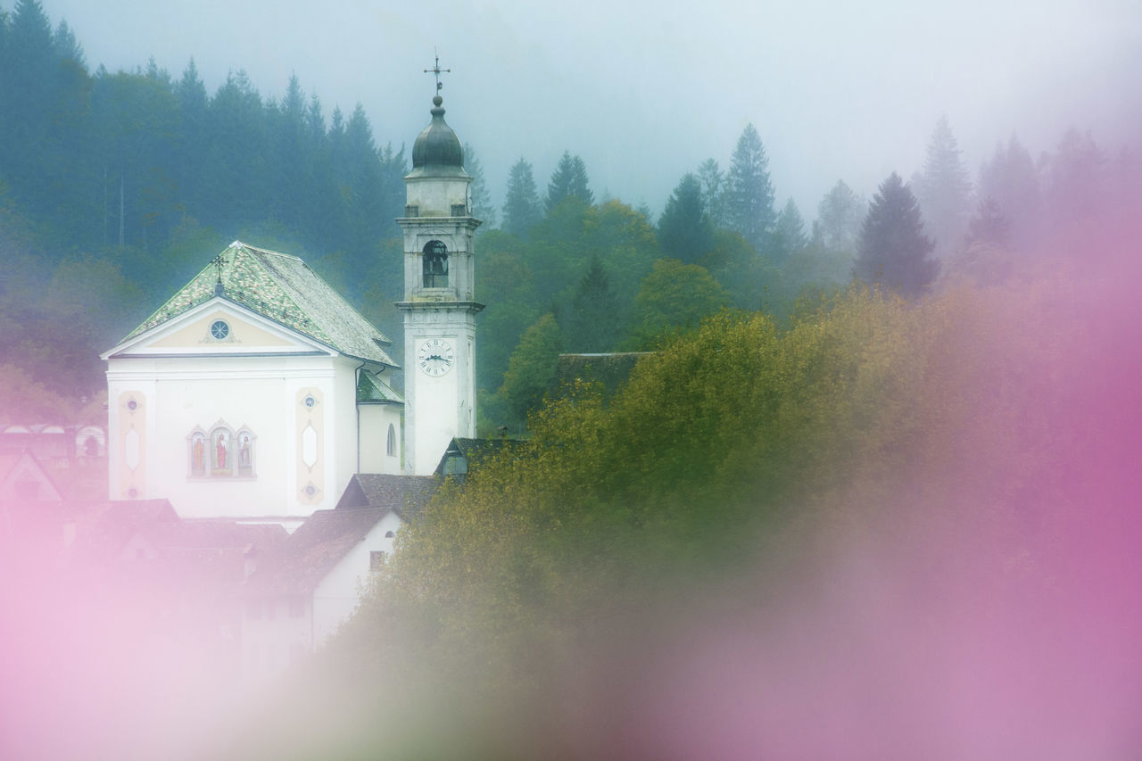 built structure, architecture, building exterior, tree, building, place of worship, religion, fog, belief, spirituality, plant, nature, no people, day, house, outdoors, spire