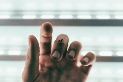 Close-up of human hand