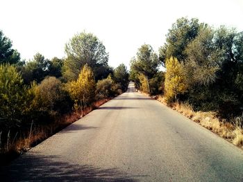 Empty road along trees