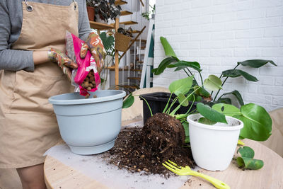 Cropped hand holding potted plant