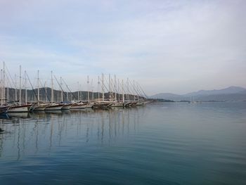 Sailboats in sea