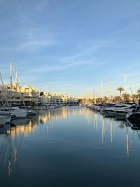 Sailboats moored at harbor against sky
