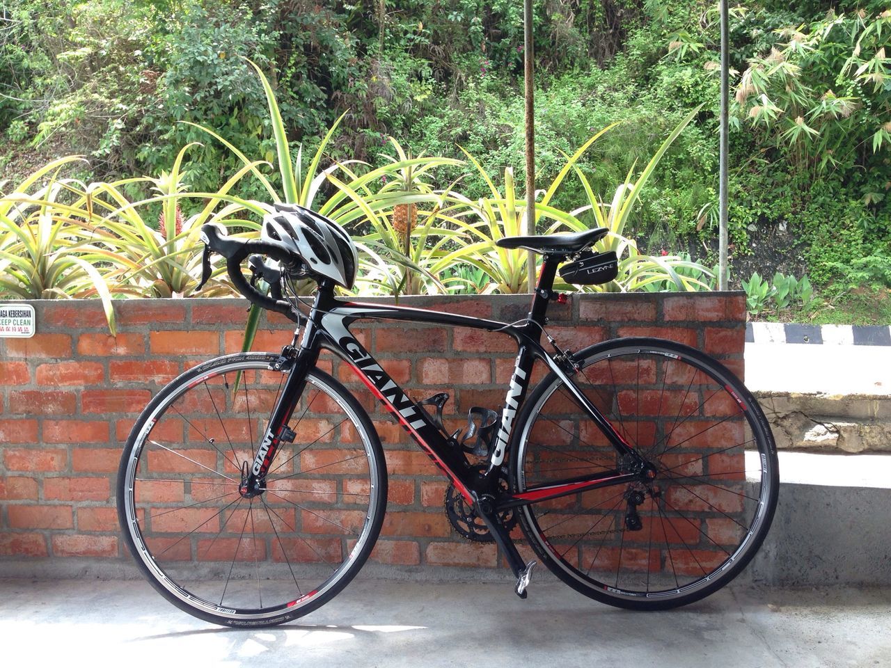 bicycle, wheel, transportation, stationary, mode of transport, land vehicle, parked, tree, parking, wall - building feature, no people, outdoors, day, plant, growth, leaning, wood - material, nature, built structure, metal