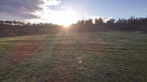 Scenic view of grassy field against sky at sunset