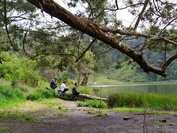 People sitting on tree trunk by water