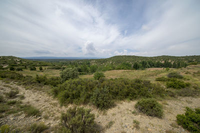 Scenic view of landscape against sky