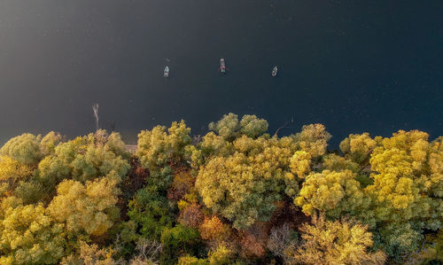 High angle view of trees by sea during autumn