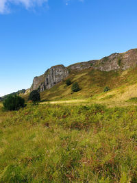 Scenic view of landscape against clear blue sky