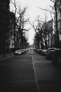 Road passing through bare trees