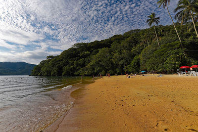 Scenic view of beach against sky