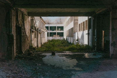 Abandoned building with no people, grass inside abandoned neglected building