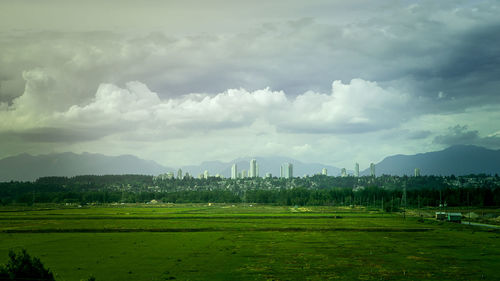 Scenic view of field against sky