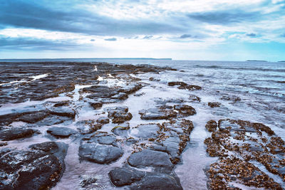 Scenic view of sea shore