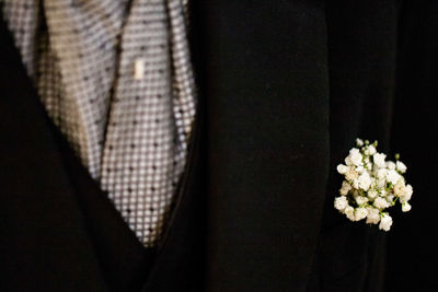 Close up of flower