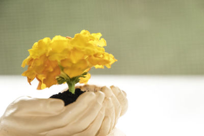 Close-up of yellow flower vase on table