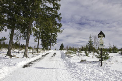 Trees by snow covered road against sky