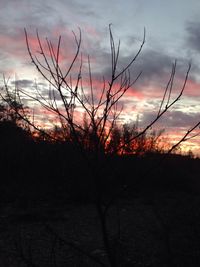 Bare trees against cloudy sky at sunset