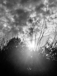 Low angle view of silhouette trees on field against sky