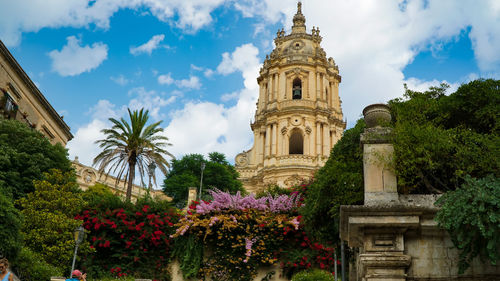 Low angle view of flowering plants by building against sky