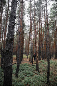 Rear view of man amidst trees in forest