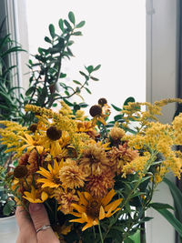 Close-up of yellow flowering plants against clear sky