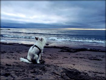 Scenic view of beach against cloudy sky