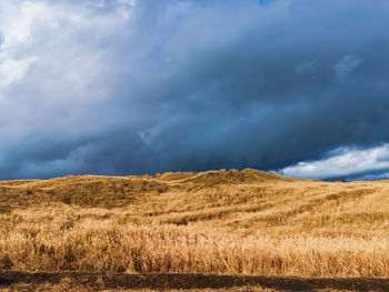 Scenic view of field against storm clouds