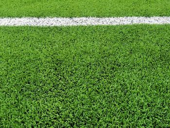 High angle view of soccer field