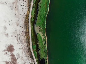 High angle view of plant against wall