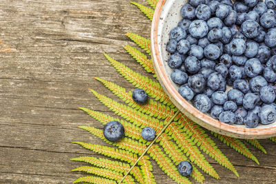 Wild blueberries in a bowl and fern leave on a wooden background