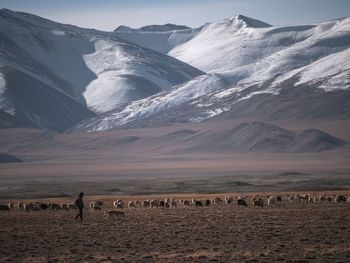 Scenic view of landscape and snowcapped mountains