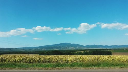 Scenic view of field against cloudy sky