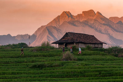 Man on field against mountain range