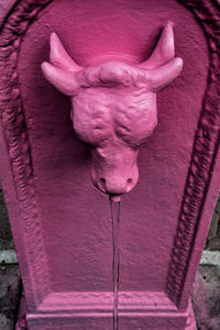 Close-up of pink butterfly