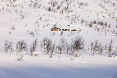 People skiing on snow covered field