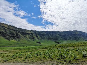 Scenic view of field against sky