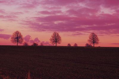 Silhouette trees on field against sky at sunset