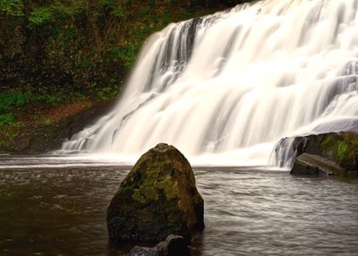 Scenic view of waterfall in forest