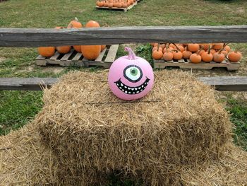 High angle view of pumpkin with anthropomorphic face on hay