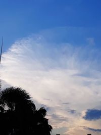 Low angle view of silhouette trees against sky