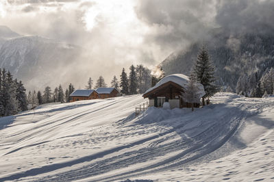 Snow covered houses and trees against sky