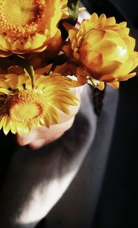 Close-up of yellow rose flower