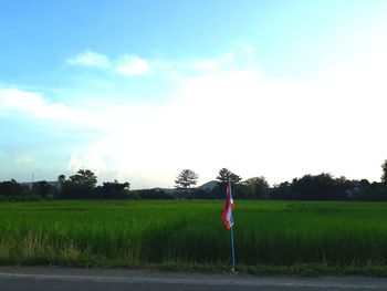 View of field against cloudy sky