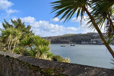 Scenic view of palm trees by sea against sky