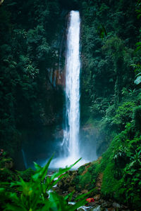 Scenic view of waterfall in forest