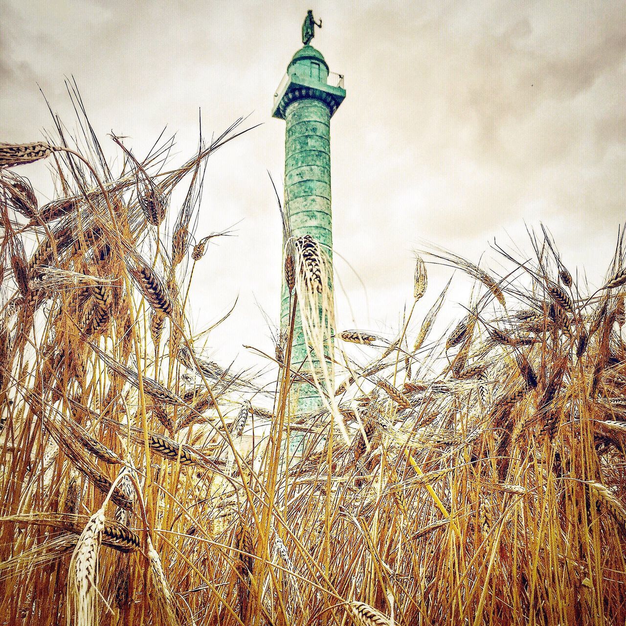 built structure, architecture, tower, building exterior, sky, tall - high, growth, plant, travel destinations, low angle view, lighthouse, grass, famous place, field, day, international landmark, no people, nature, outdoors, tall