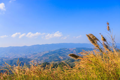 Scenic view of mountains against cloudy sky