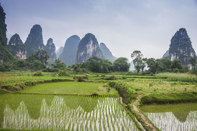 Scenic view of lake with mountain in background