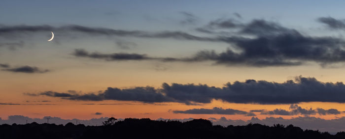 Silhouette trees against sky at sunset